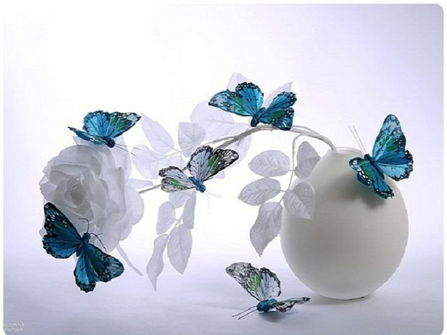 бабочки на цветке - бабочки, ваза, цветы, букет - оригинал