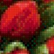 Предпросмотр схемы вышивки «тюльпаны» (№584871)