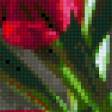 Предпросмотр схемы вышивки «Букет тюльпанов.» (№585143)