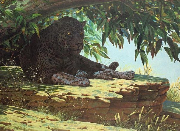 Леопард.Гай Кохелич - живопись, леопарды, животные, гай кохелич - оригинал