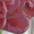 Предпросмотр схемы вышивки «тюльпаны» (№585359)
