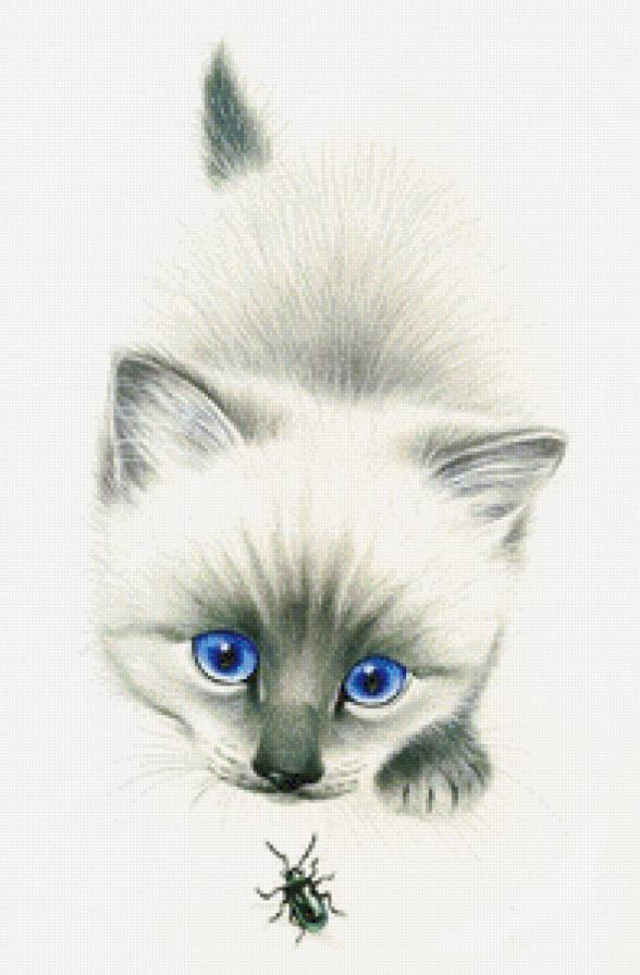 белая и пушистая... - белая кошка, кошки, жук, сиам, кот, домашние животные, кошка, котенок - предпросмотр