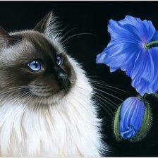 Оригинал схемы вышивки «кошки и цветы» (№585428)