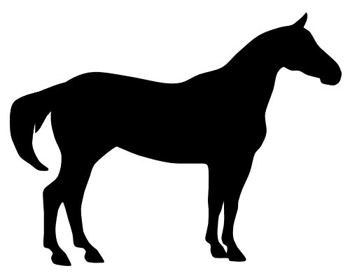 Лошадь черно-белая - белая, черно, лошадь - оригинал