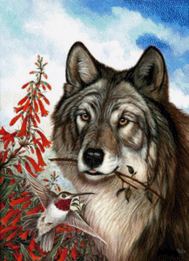 волк и колибри - колибри, волк, цветы - предпросмотр