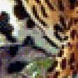 Предпросмотр схемы вышивки «леопард3» (№585590)