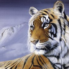 Оригинал схемы вышивки «тигр» (№585597)