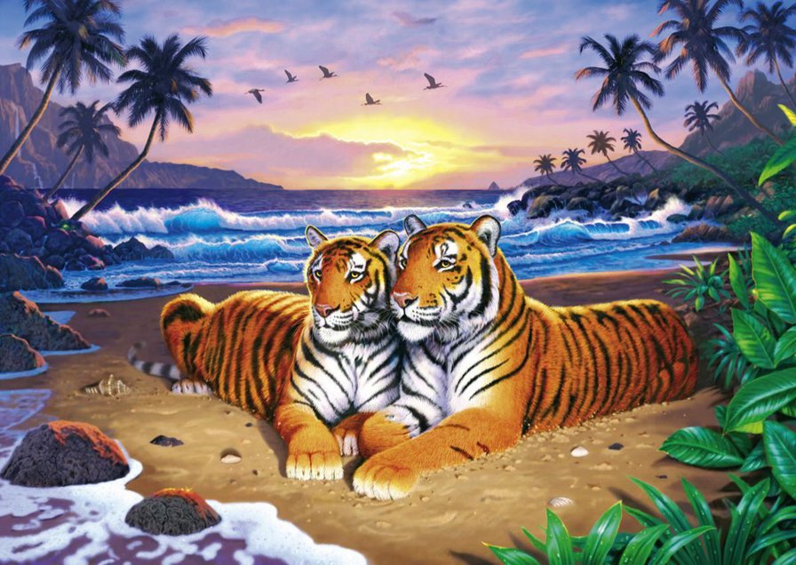 влюбленные тигры - тигр - оригинал