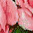 Предпросмотр схемы вышивки «Букет цветов» (№586051)