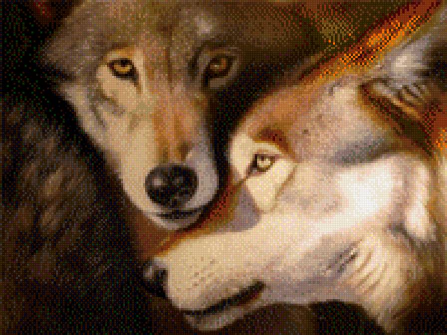 Волк с волчицей - волк, любовь, волки, волчья верность, пара волков - предпросмотр