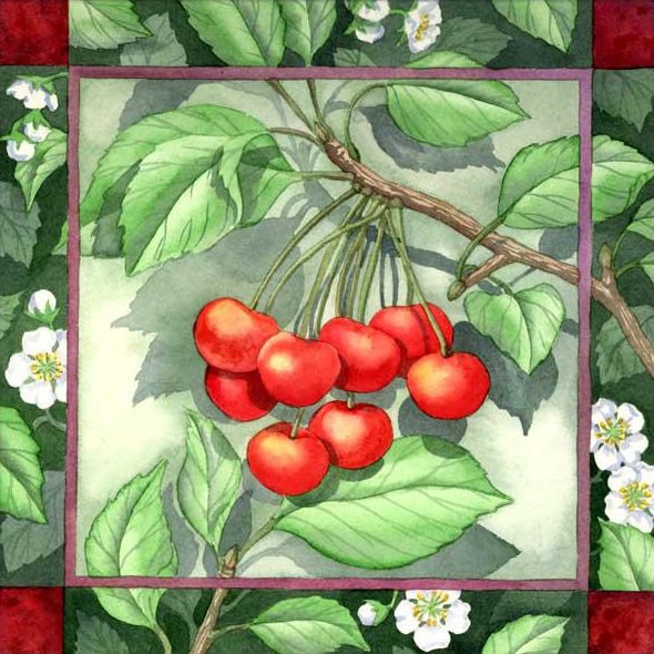 ягодки - ягоды, подушка, черешня, вишня, кухня - оригинал
