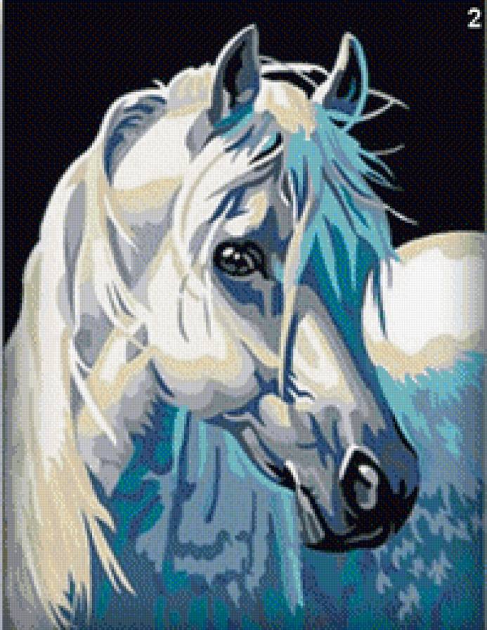 Белый конь - лошади, животные - предпросмотр