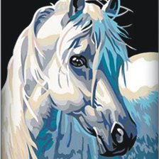 Оригинал схемы вышивки «Белый конь» (№586784)
