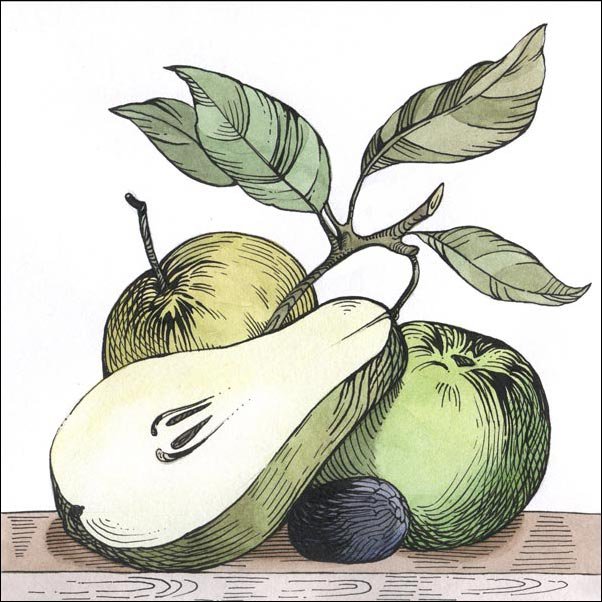 Фруктовый натюрморт - натюрморт, фрукты, яблоки, для кухни, груши - оригинал