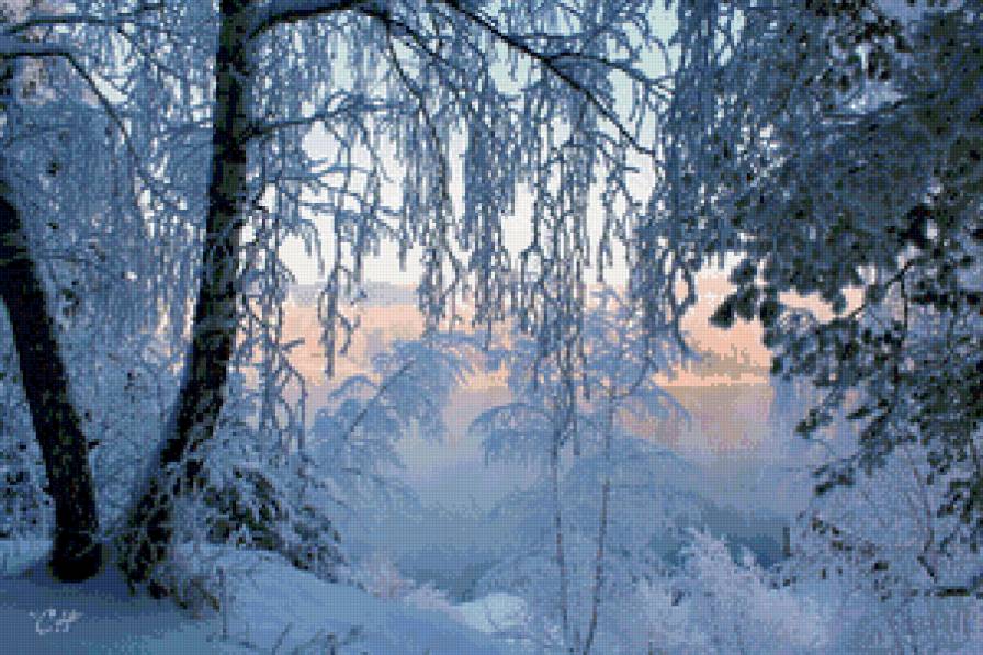 морозное утро - природа, , пейзаж, зима - предпросмотр