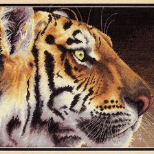 Оригинал схемы вышивки «тигр» (№587126)