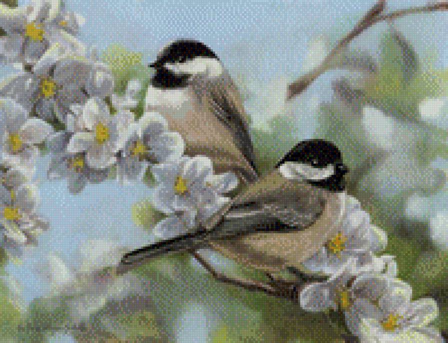 0185 - цветы, картина, природа, красота, синичка, весна, птицы - предпросмотр