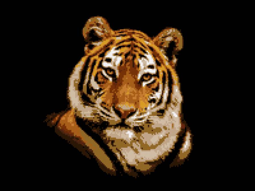 тигр 5 - предпросмотр