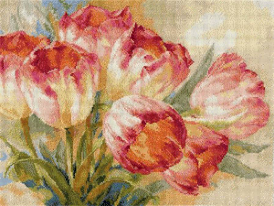Тюльпаны - цветы - предпросмотр
