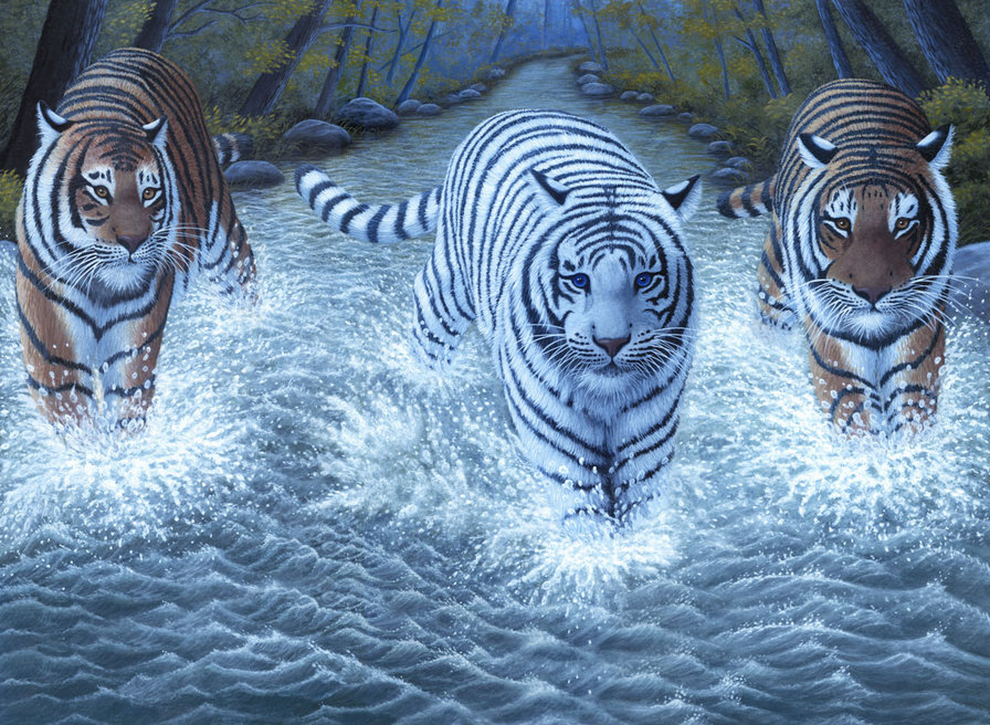 Три тигра - животные, восток, азия, тигры - оригинал