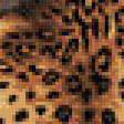Предпросмотр схемы вышивки «леопард 5» (№588656)