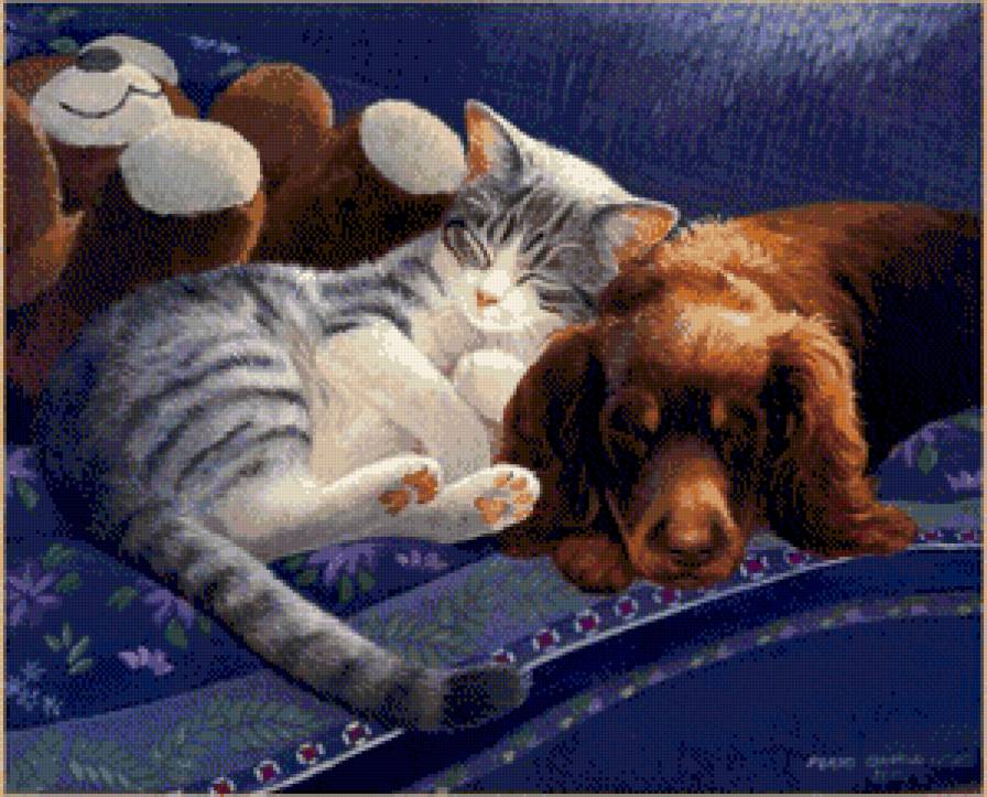 сладкий сон - животные, котики, дружба, сон, собаки - предпросмотр