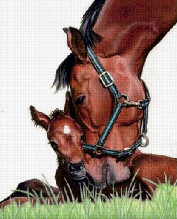 любовь - картина лошади - предпросмотр