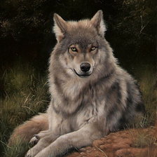 Оригинал схемы вышивки «волк» (№589550)