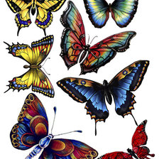 Оригинал схемы вышивки «бабочки» (№589623)