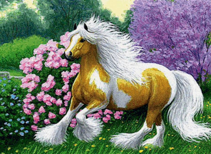 Красавица-лошадка - лошади, пейзаж, животные - предпросмотр