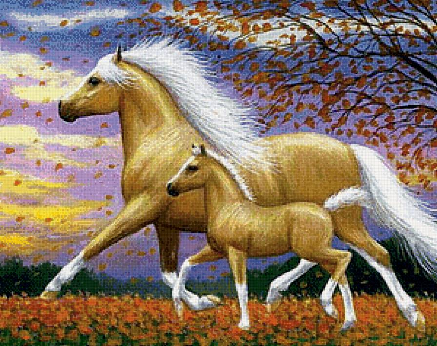 Красавицы-лошадки - животные, пейзаж, лошади - предпросмотр
