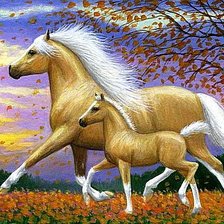 Красавицы-лошадки