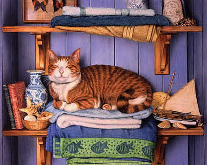 кот на полке - , кот, котенок, кошка, натюрморт, жтвопись - оригинал