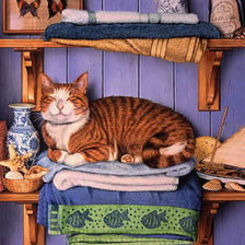 Схема вышивки «кот на полке»