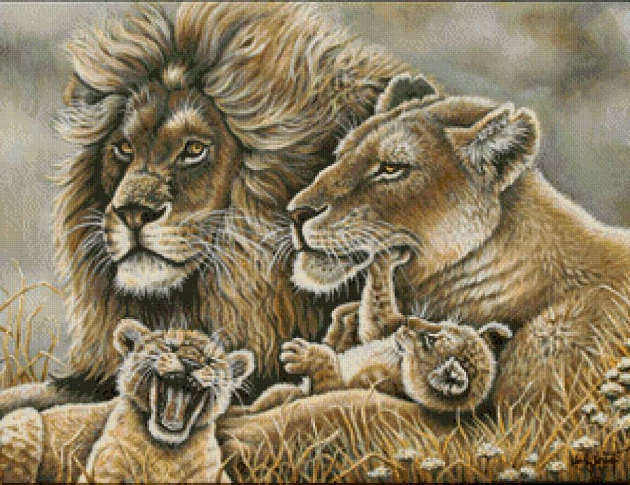 Семья - животные, львята, звери, львица, львы, лев, семья - предпросмотр