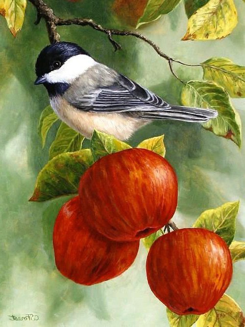 воробей - воробей, плоды, яблоки, серия птицы, картина, веточка, природа - оригинал