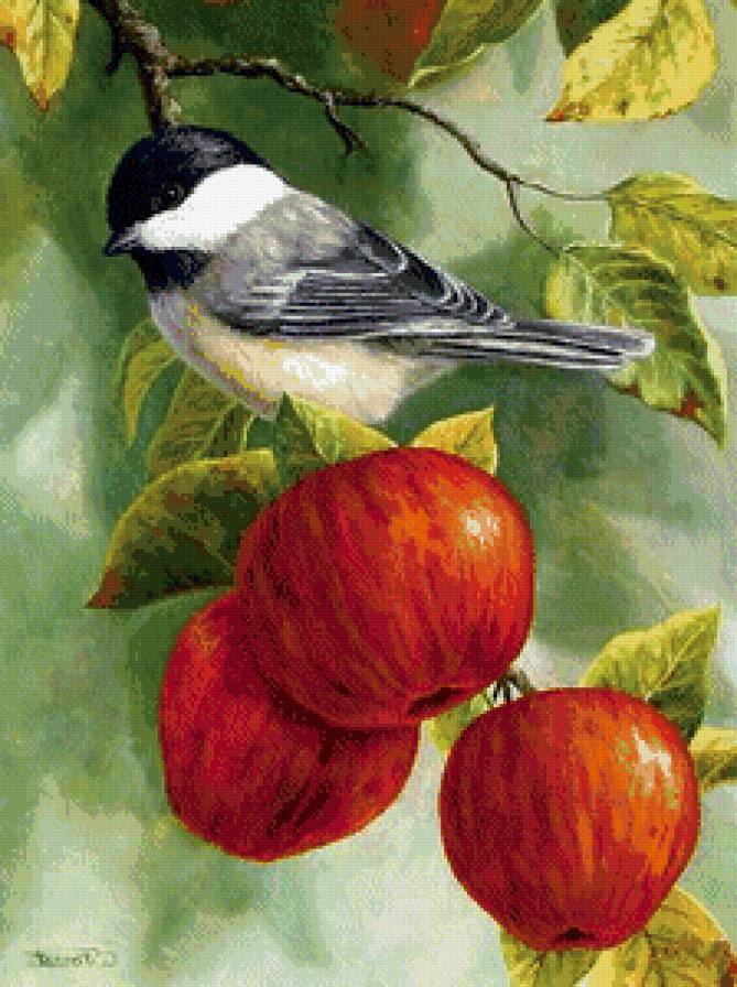 воробей - плоды, яблоки, природа, воробей, веточка, серия птицы, картина - предпросмотр