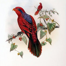 Оригинал схемы вышивки «Красные птицы» (№590784)