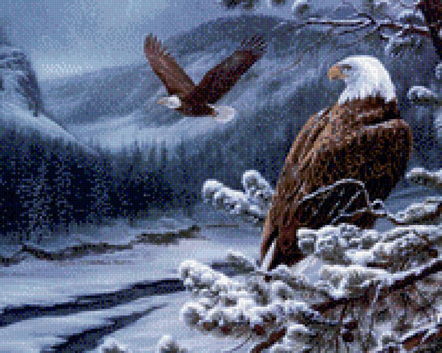 острый коготь - орел, полет, лес, ночь, горы, зимний пейзаж - предпросмотр
