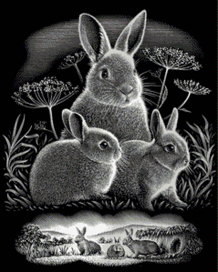 Кролики - монохром, животные - предпросмотр