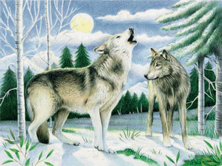 Зов - зима, пейзаж, волки, животные - предпросмотр