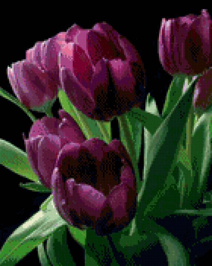 тюльпаны - 8 марта, праздник, цветы, тюльпаны, поздравление, открытка, весна - предпросмотр