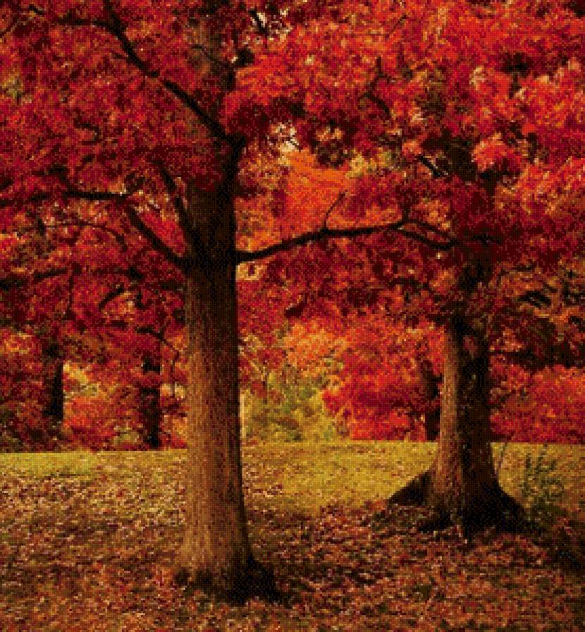осеннее дерево - природа, дерево, золото, осень - предпросмотр
