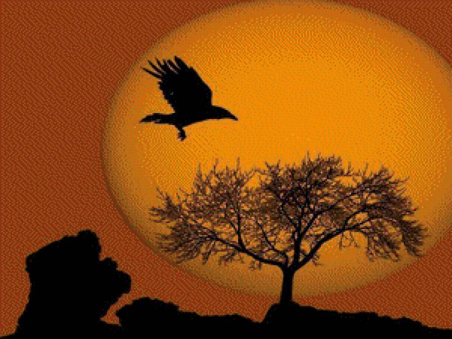 закат - африка, закат, птица - предпросмотр