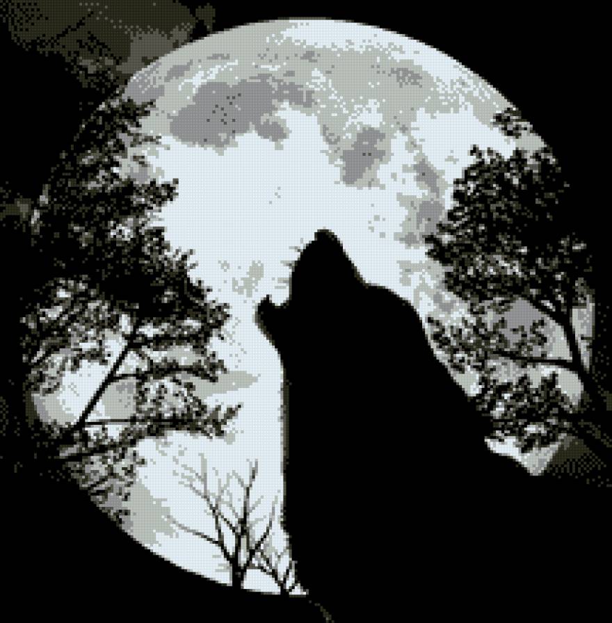 волк и луна - луна, ночь, волк - предпросмотр