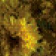 Предпросмотр схемы вышивки «жёлтые хризантемы» (№593200)