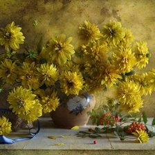 жёлтые хризантемы