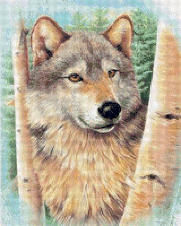 №593209 - животные, волк - предпросмотр