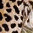 Предпросмотр схемы вышивки «леопард7» (№593548)