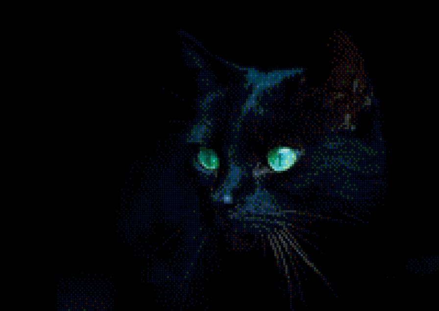 чёрная кошка - котенок, кошка, кот - предпросмотр